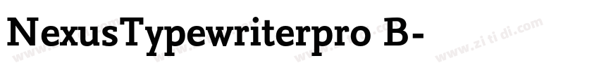NexusTypewriterpro B字体转换
